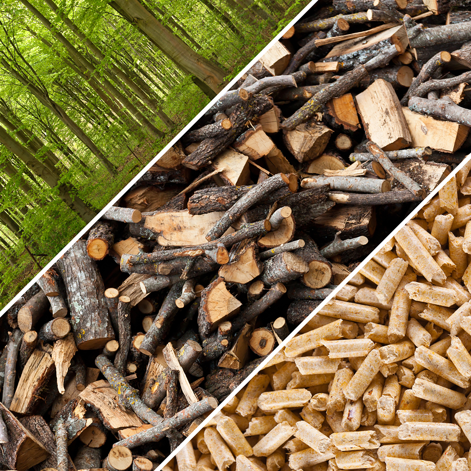Impianti a biomasse, pellet e cippato